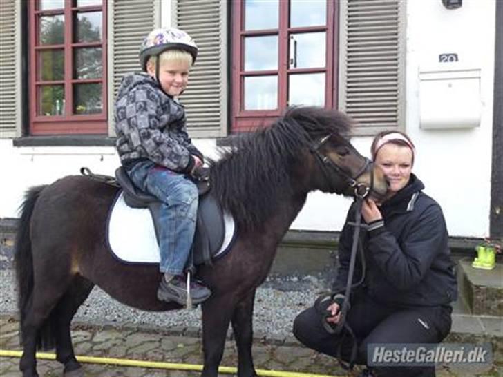 Shetlænder Max - her er jeg med Lucas på ryggen og et lille mys til Camilla :D .. foto mor billede 10