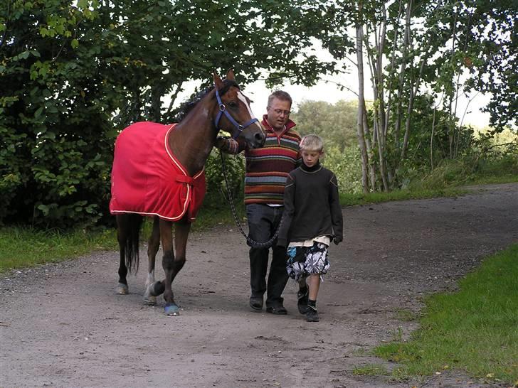 Anden særlig race Clements Mini - solgt :`( billede 2