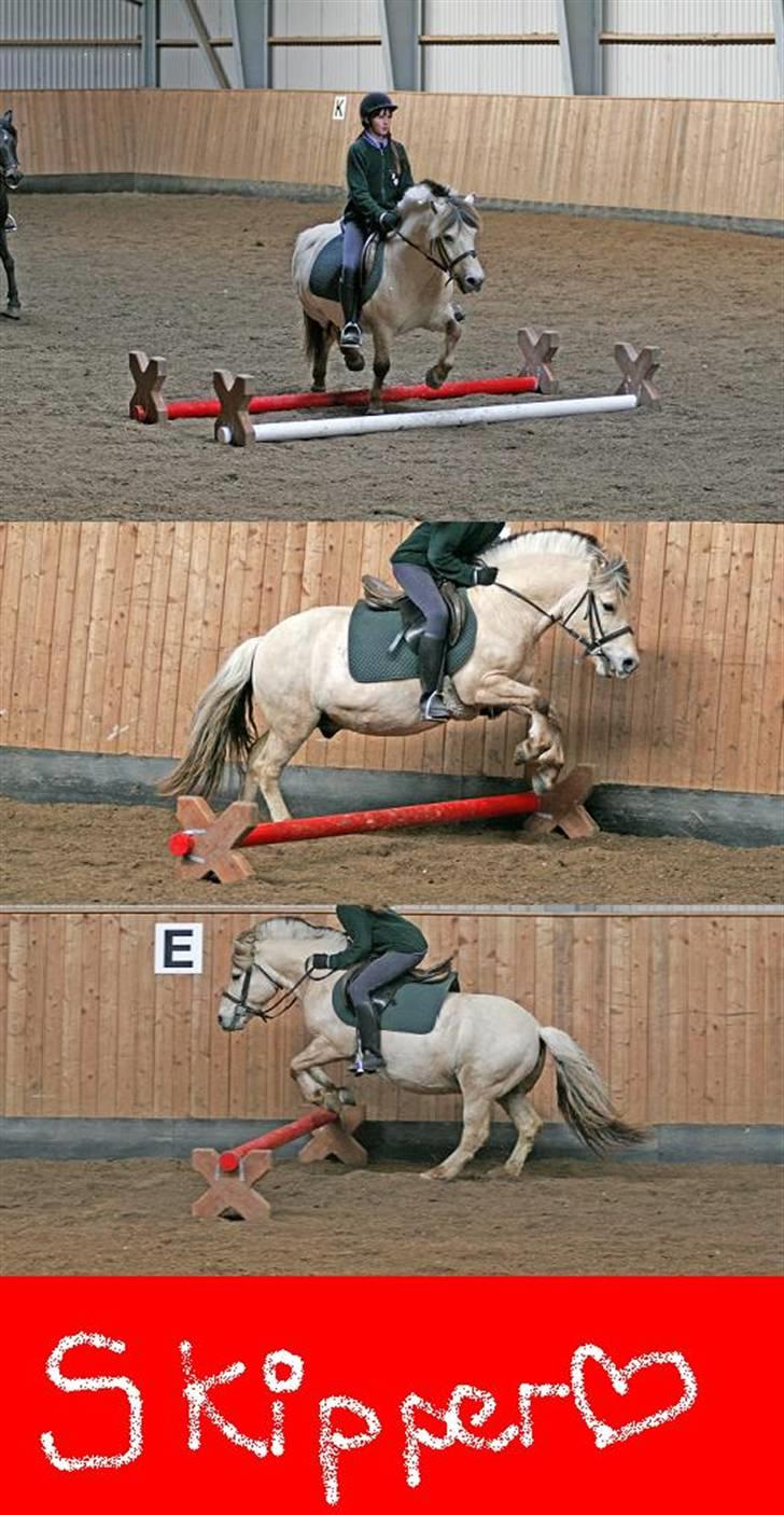 Fjordhest skipper - gamle billeder.. <3 foto: per A.. billede 15