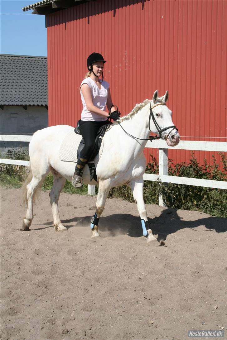 Anden særlig race Bertha - Bertha og Pernille billede 15