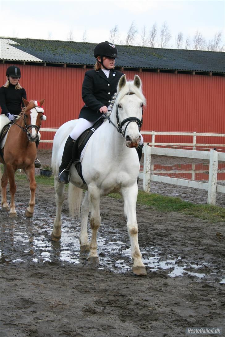 Anden særlig race Bertha billede 19