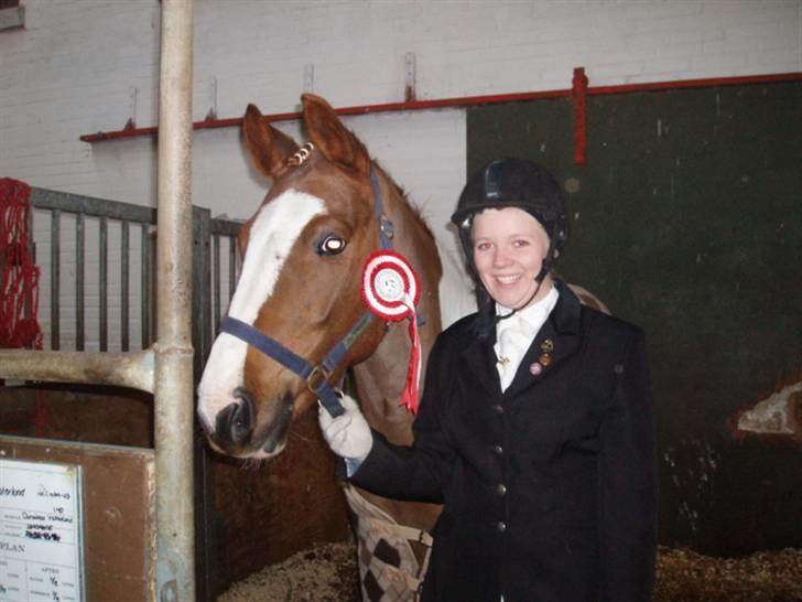 Pinto La-Chris Vesterlund billede 13