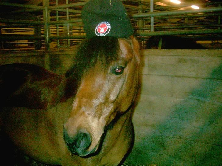 DSP Mattis - 15# Ihh Fc fc fc fcmidjylland<33 Min/ Din hue..<33 billede 15