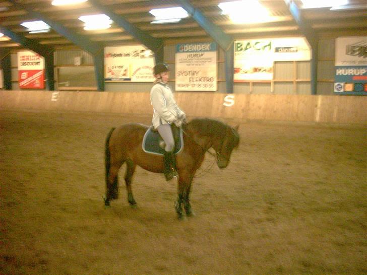 DSP Mattis - 16# Tjja ik for godt billed..Dårliq daq.. billede 16