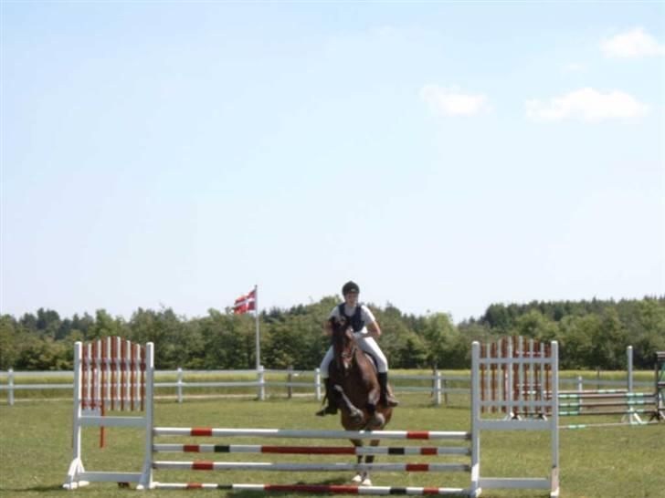 Anden særlig race Cosmo - Mini Cup 2006-  Lidt utydeligt, han gik ellers pisse godt! billede 5