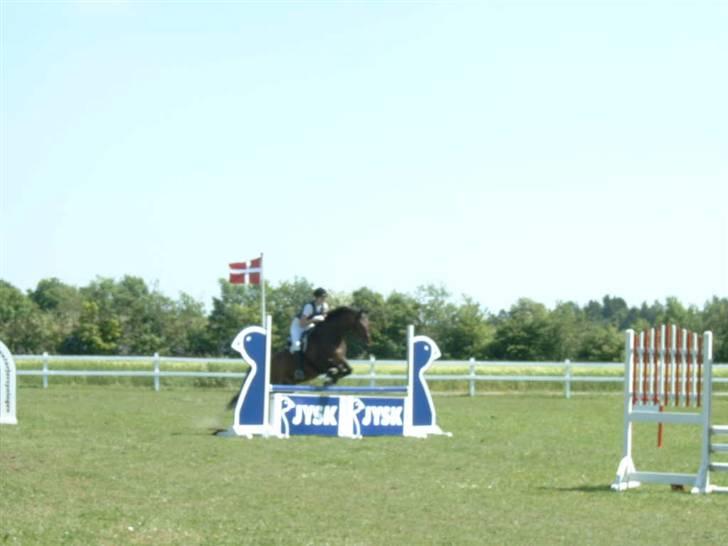 Anden særlig race Cosmo - Stævne sidste sommer . Lidt utydeligt billede 6