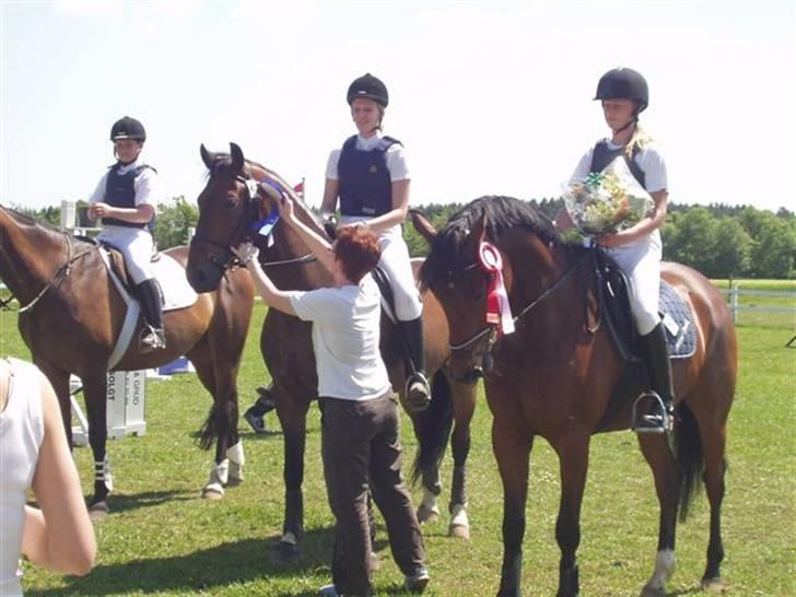 Anden særlig race Cosmo billede 8