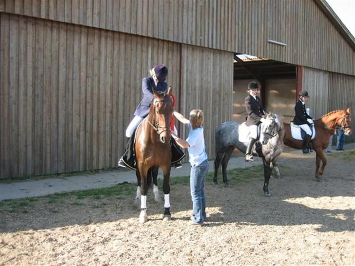 Anden særlig race Cosmo - Søhøjlandets Midi Cup Dressur 2006 Vi vandt :D billede 10