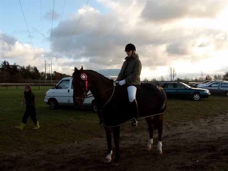 Anden særlig race Cosmo - Klubmestre Dressur 2006 billede 12