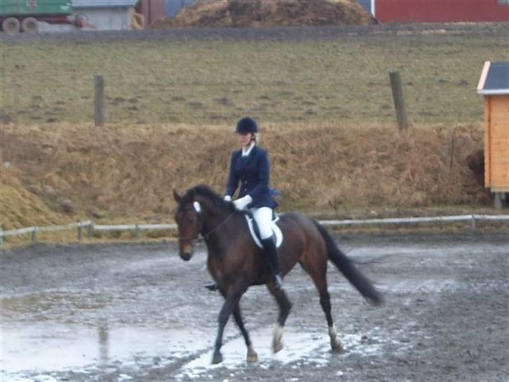 Anden særlig race Cosmo - Stævne i MJR´s "vandpyt" billede 13