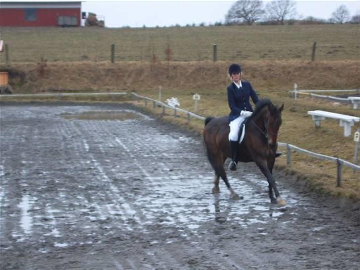 Anden særlig race Cosmo - Stævne i MJR´s "vandpyt" billede 14