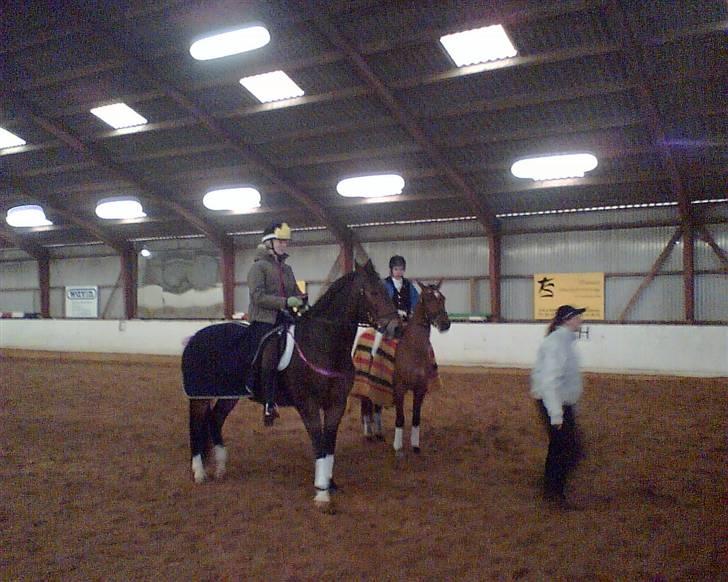 Anden særlig race Cosmo - Klubstævne i MJR billede 17