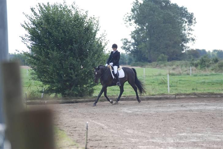 Oldenborg Salina - Vores første stævne billede 11