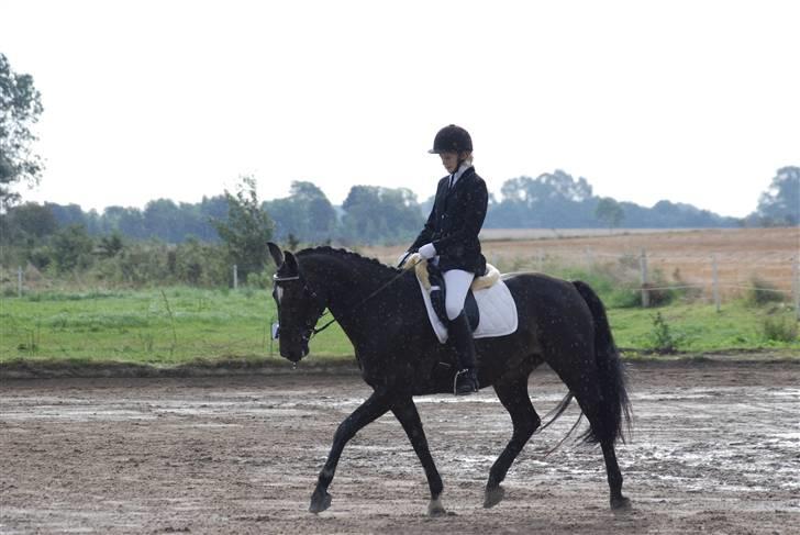 Oldenborg Salina - Stævne efterår 2007 billede 12