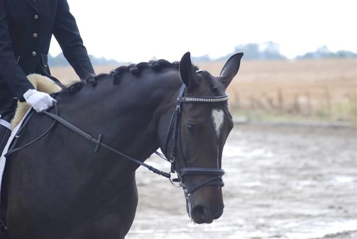 Oldenborg Salina - Slutparade efterår 2007´ billede 13