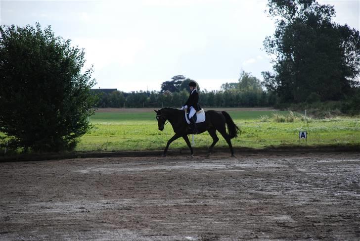 Oldenborg Salina - Første stævne  efterår 2007 billede 14