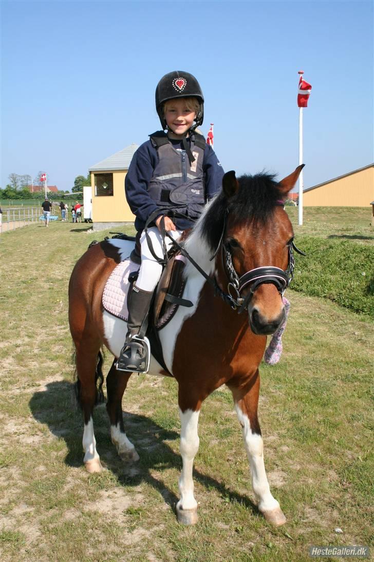 Anden særlig race Trille - Trille og rikke rider sammen med de andre heste og piger  billede 4