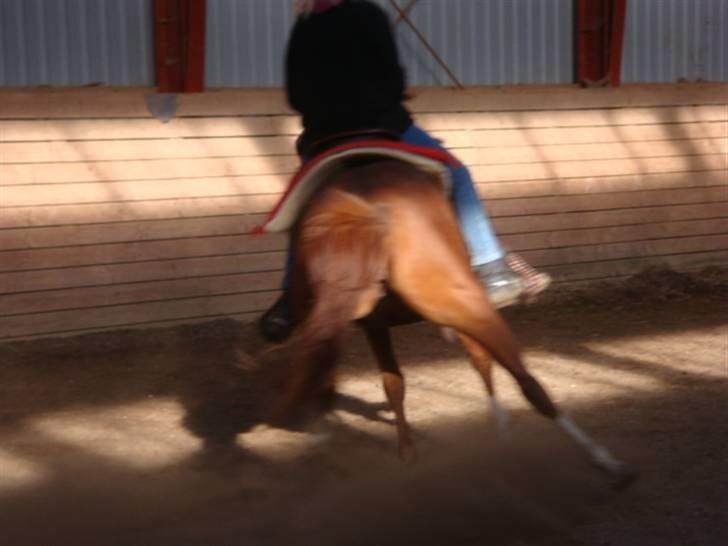 Anden særlig race : Viktoria | ~ Mit Et & Alt ~ - Der var lige noget Meget farligt henne i hjørnet.. haha :D   08 billede 13