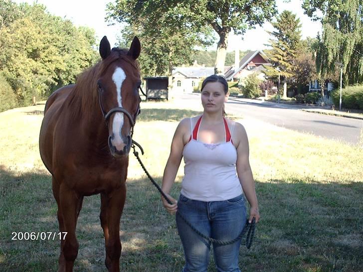Fuldblod (XX) Madrilenjo - Mig og maddie på en dejlig træningstur gennem byen billede 7