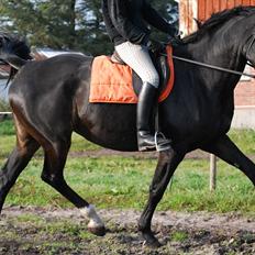 Oldenborg Tenna Af Kloster R.I.P