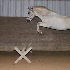 Anden særlig race GHOST BUSTER