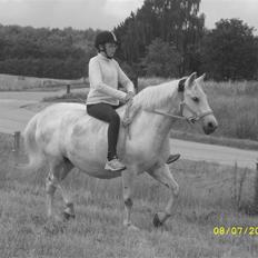 Anden særlig race Miss Jackie *gamle part*