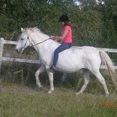 Anden særlig race Miss Jackie *gamle part*