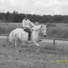 Anden særlig race Miss Jackie *gamle part*