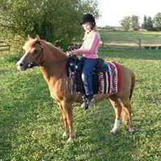 Anden særlig race Speedy Gonzales.. R.I.P