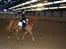 Hollandsk Sportspony Skovlykkes Choice solgt  - stævne<3hvor er han bar fin miin lille baby!<3