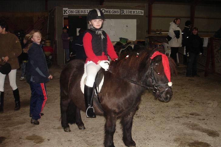 Shetlænder Dolly billede 17