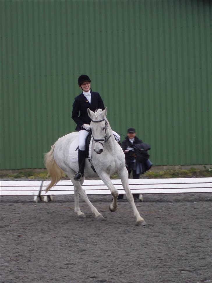 Anden særlig race Moonlight af Ellemose billede 17