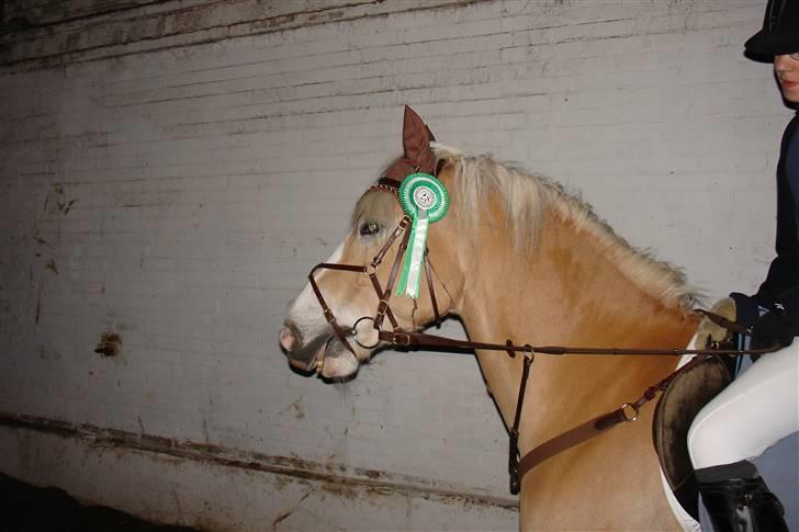 Tyroler Haflinger Nocturne Lundgaard - 3.plads i LB spring. Ladelund Rideklub april 2006 billede 14