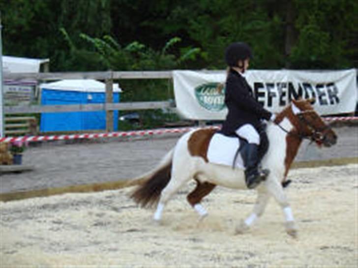 Shetlænder Buller R.I.P - shetlands stævne Kür :) billede 2
