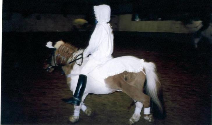 Shetlænder Buller R.I.P - Baby Buller til fastelavn :P<3 billede 16