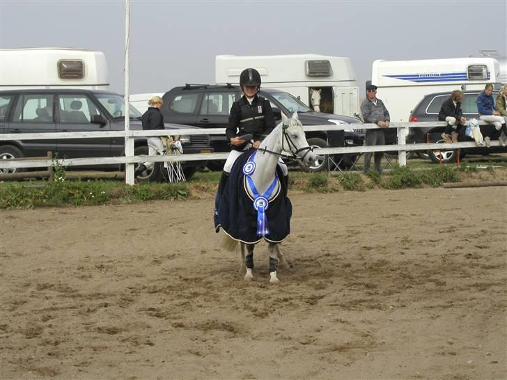 Anden særlig race Silva RIP - Sjællandsmester 2006. I LOVE YOU billede 7