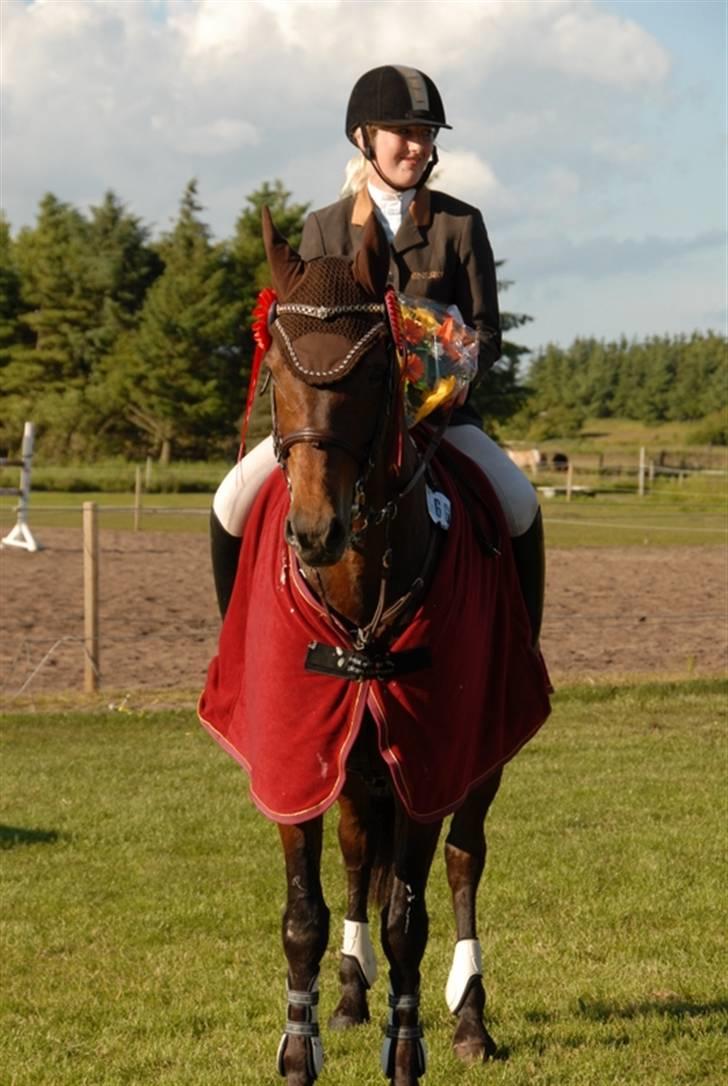 Tysk Oldenburger Leonardo 381 - Leonardo distrikmesterskab 2009 vinder billede 12