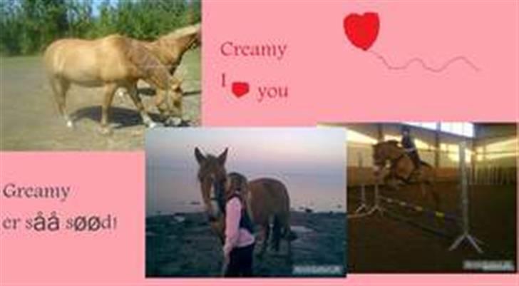 Anden særlig race * Creamy - Gammel part. - Lavet af sabrina. billede 12