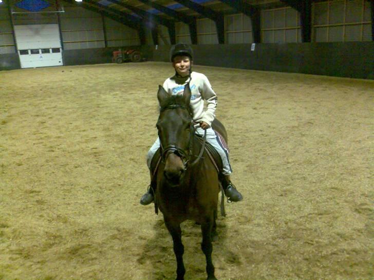 New Forest Kenzo Amarine  - her er min lille bror på min pony!  billede 8