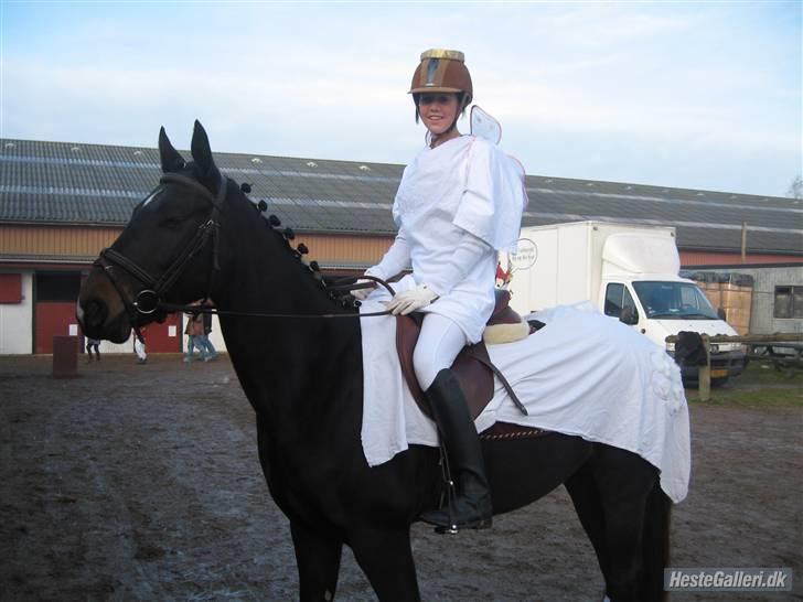 Anden særlig race Holtegårdens splif SOLGT. - FØRSTE STÆVNE klædt ud som engel :p Hun tog det med stor STIL :p billede 10