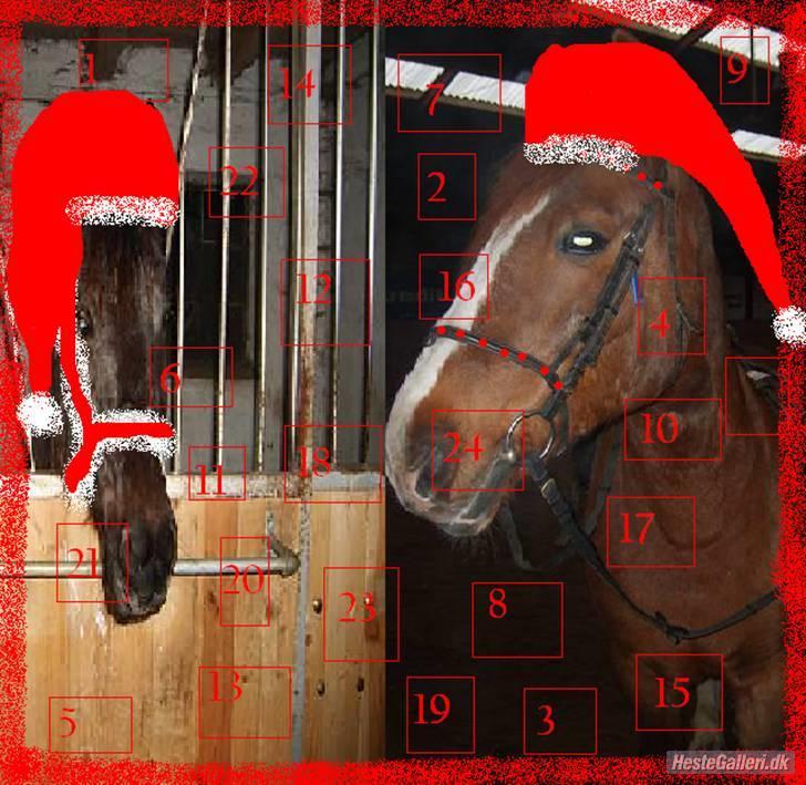 Anden særlig race Boris (Hvor er du!? ) billede 8