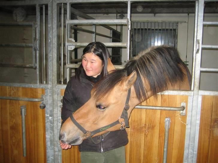 Anden særlig race Frederik *SOLGT* - Da jeg fik Frederik hjem den 21. oktober billede 4