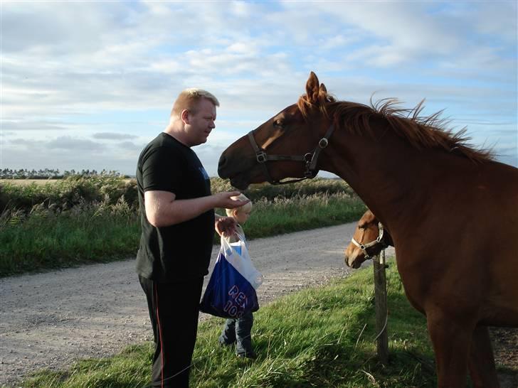 Oldenborg Alfred - solgt - Vidste bare du havde noget til mig...... billede 7