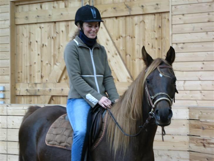 Arabisk fuldblod (OX) Intifada - 6.12.2007 Jeg rider Inda for 3. gang med sadel på. Fedt.... billede 15