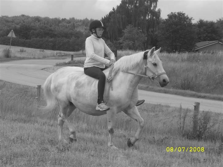 Anden særlig race Miss Jackie *gamle part* - ridning i grime og trækketov - foto camilla billede 1