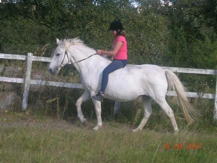 Anden særlig race Miss Jackie *gamle part* - Smuk ikke? billede 2