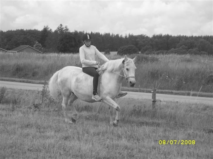 Anden særlig race Miss Jackie *gamle part* -  - foto camilla billede 3