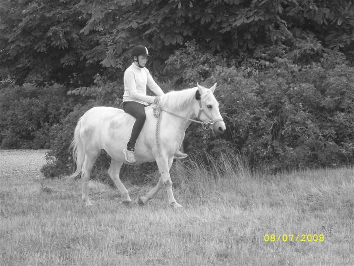 Anden særlig race Miss Jackie *gamle part* - Mig og Jackie igen ,, xD  billede 4