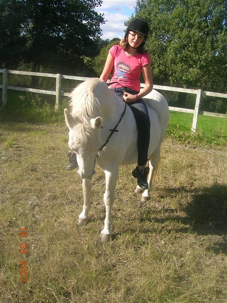 Anden særlig race Miss Jackie *gamle part* - Går tilbidet xD billede 6