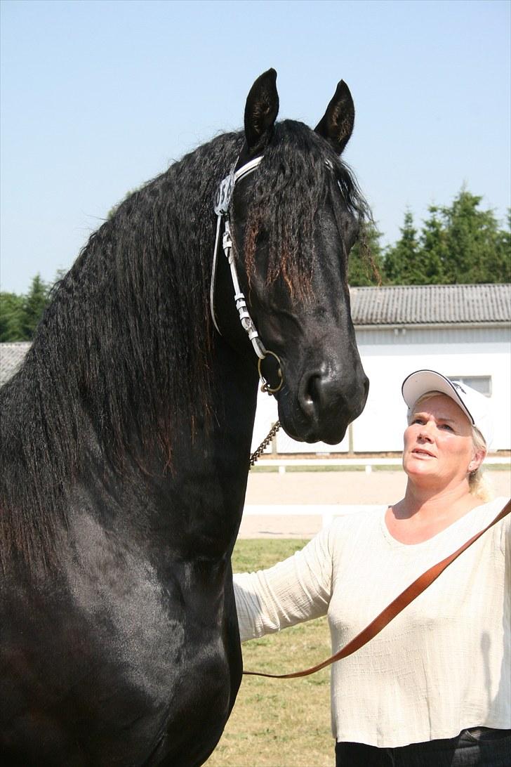 Frieser Zeus Fan Stennissegaard *SOLGT* billede 9